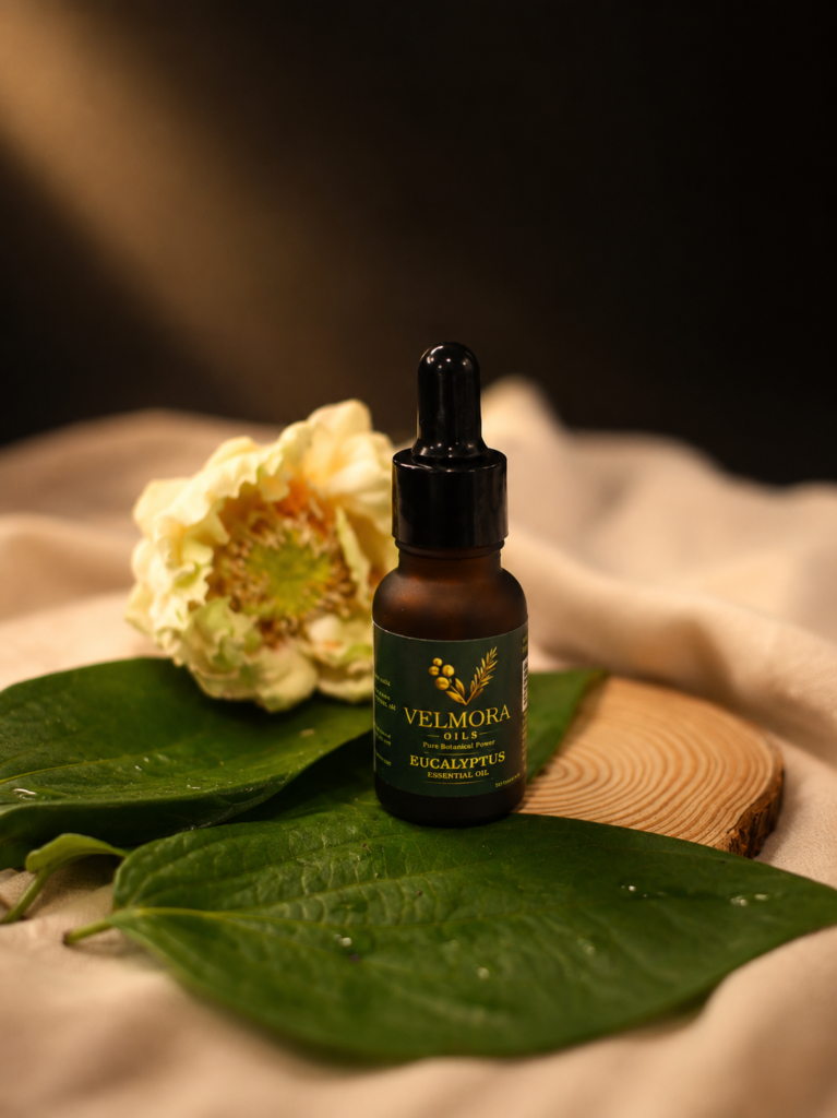 Velmora Eucalyptus Essential Oil